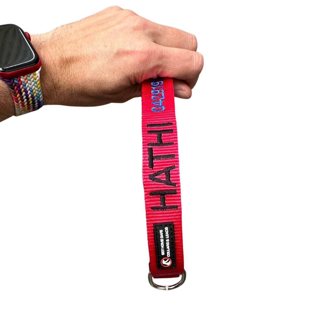 Originals-Dog Collar-Rover Pet Products