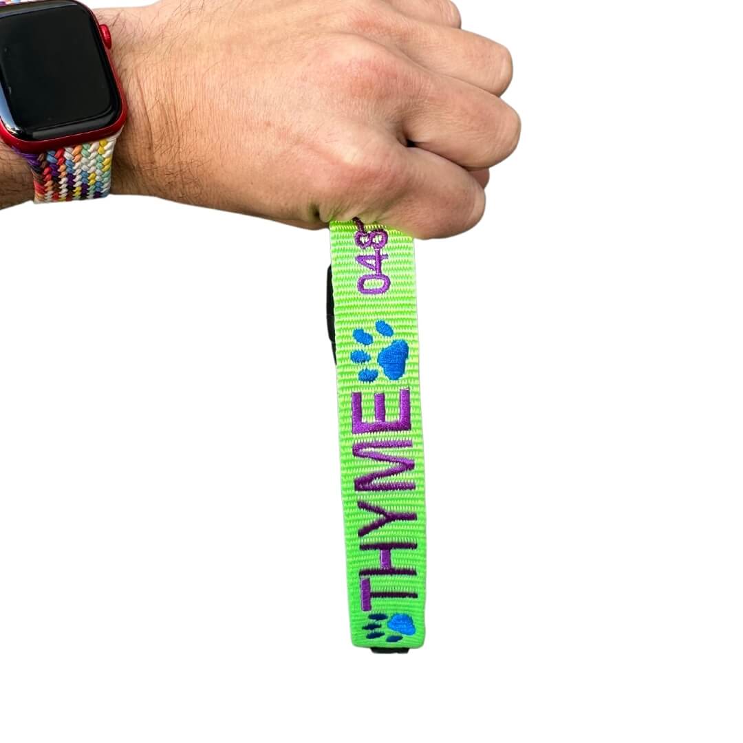 Originals-Dog Collar-Rover Pet Products