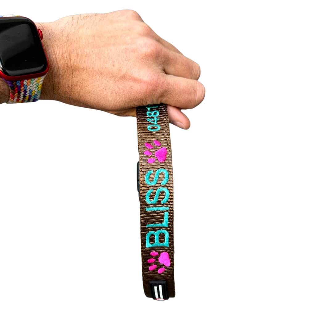 Originals-Dog Collar-Rover Pet Products