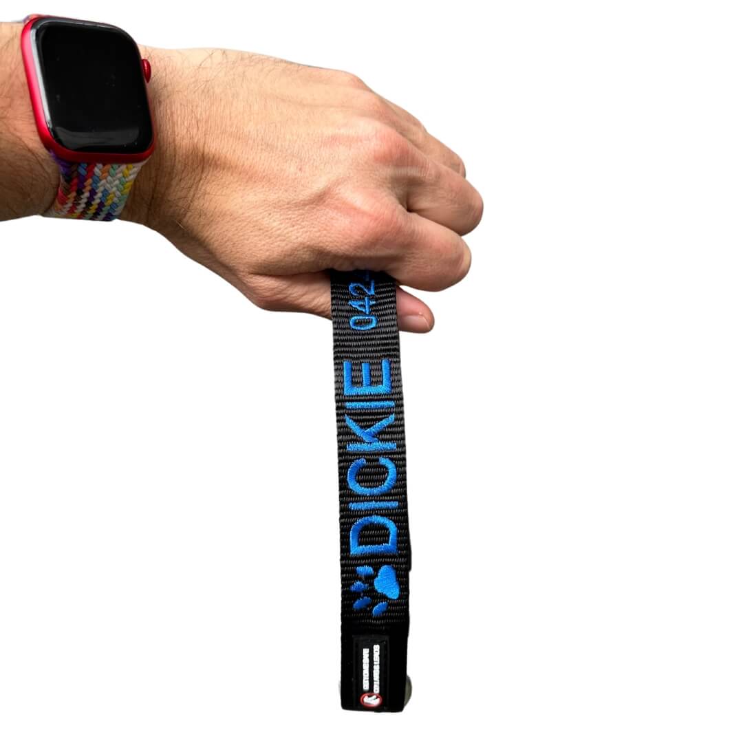 Originals-Dog Collar-Rover Pet Products