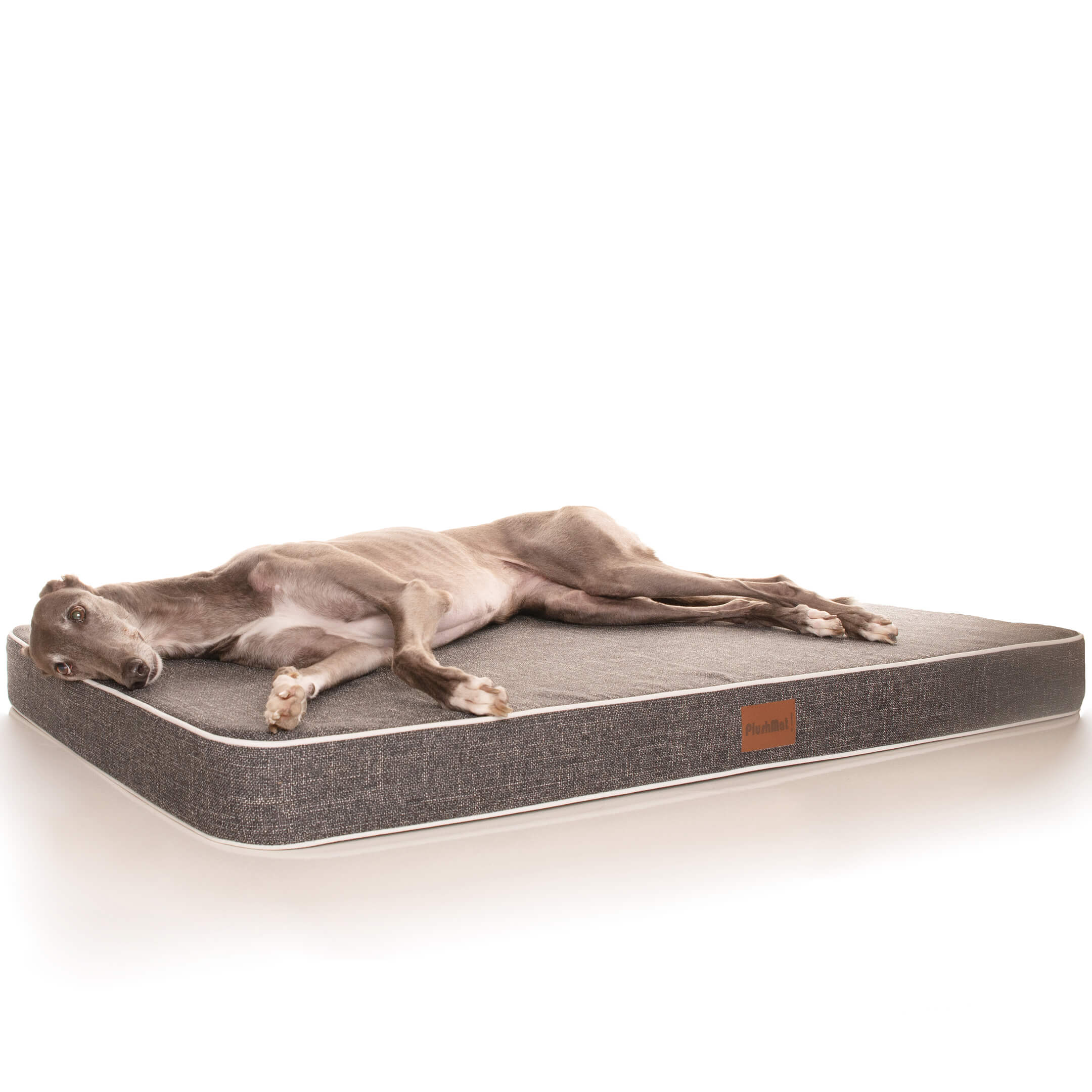 PlushMat! Orthopaedic Dog Bed-Dog Bed-Rover Pet Products