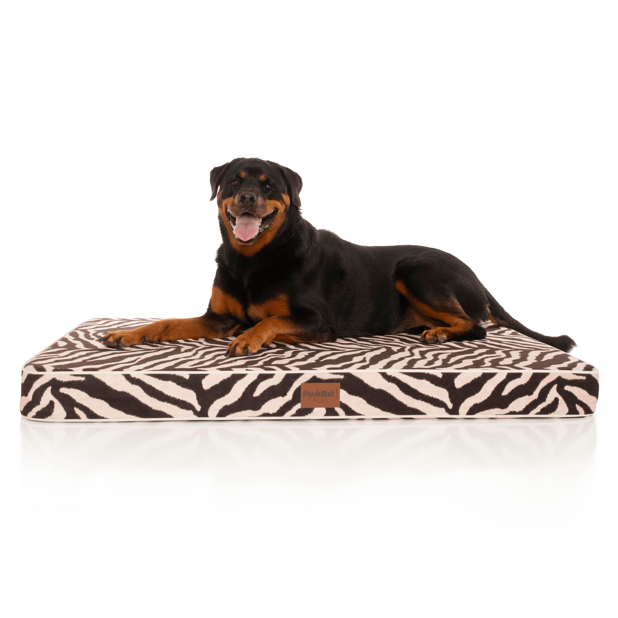 PlushMat! Orthopaedic Dog Bed-Dog Bed-Rover Pet Products