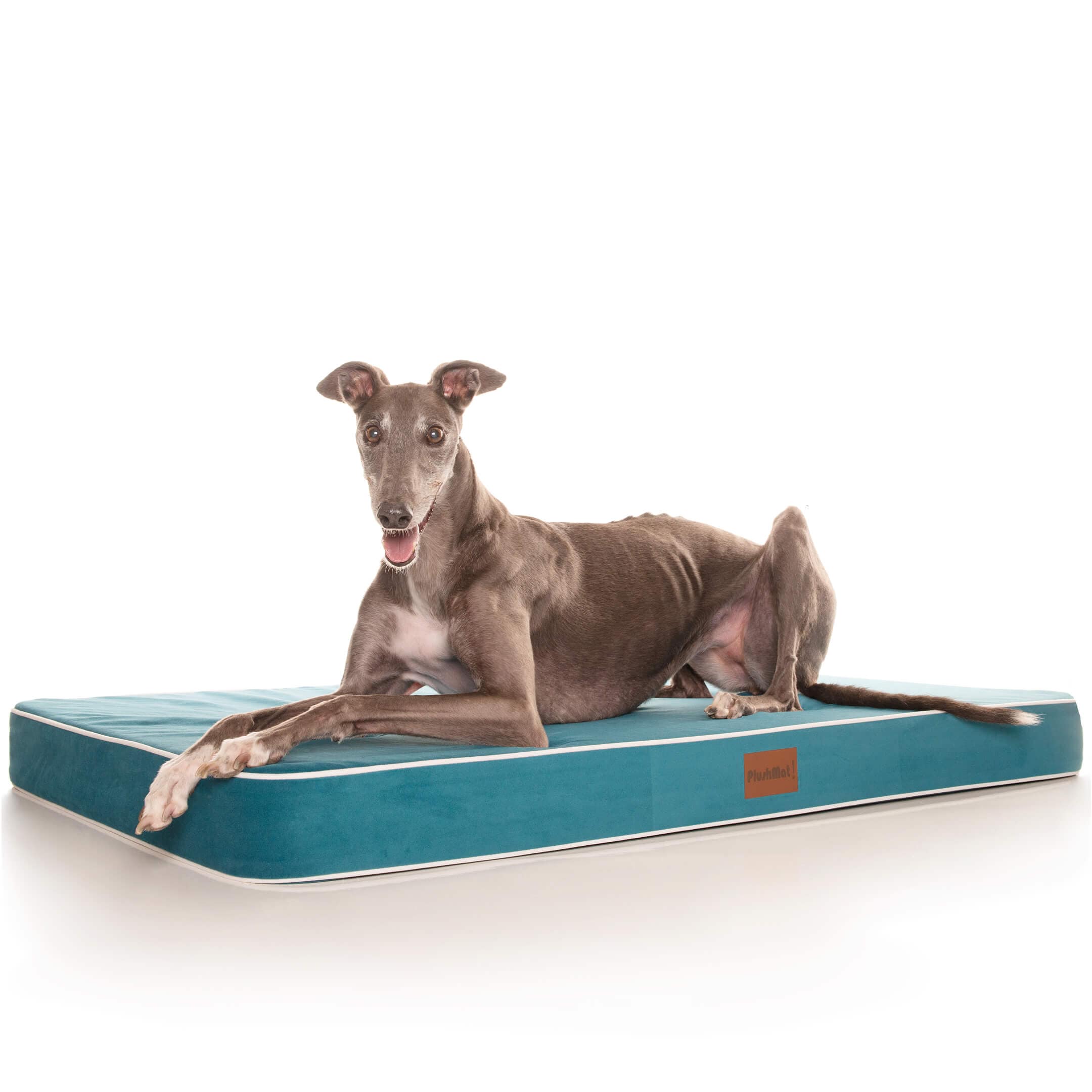 PlushMat! Plus - Thermal & Therapeutic - Orthopaedic Dog Bed-Dog Bed-Rover Pet Products