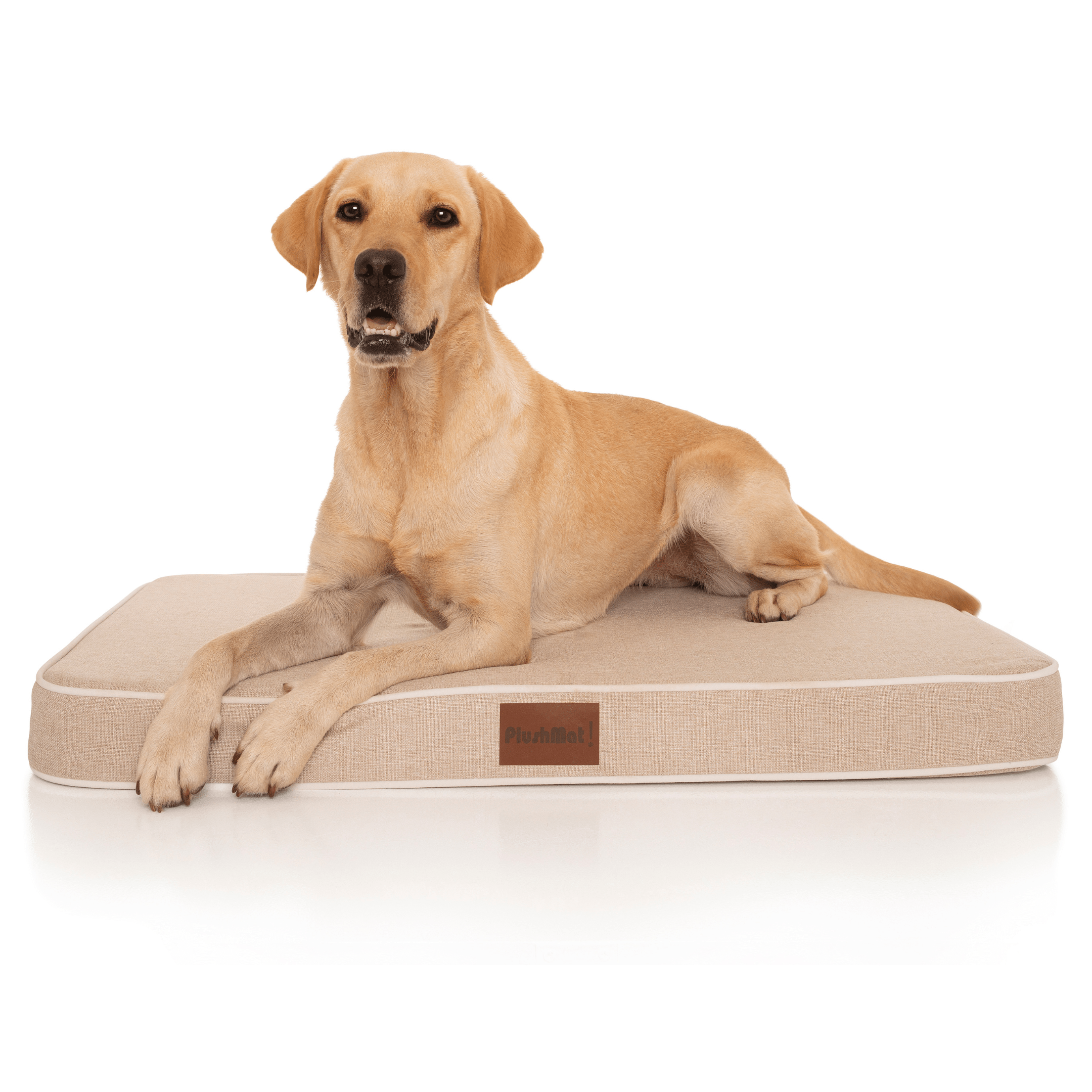 PlushMat! Plus - Thermal & Therapeutic - Orthopaedic Dog Bed-Dog Bed-Rover Pet Products
