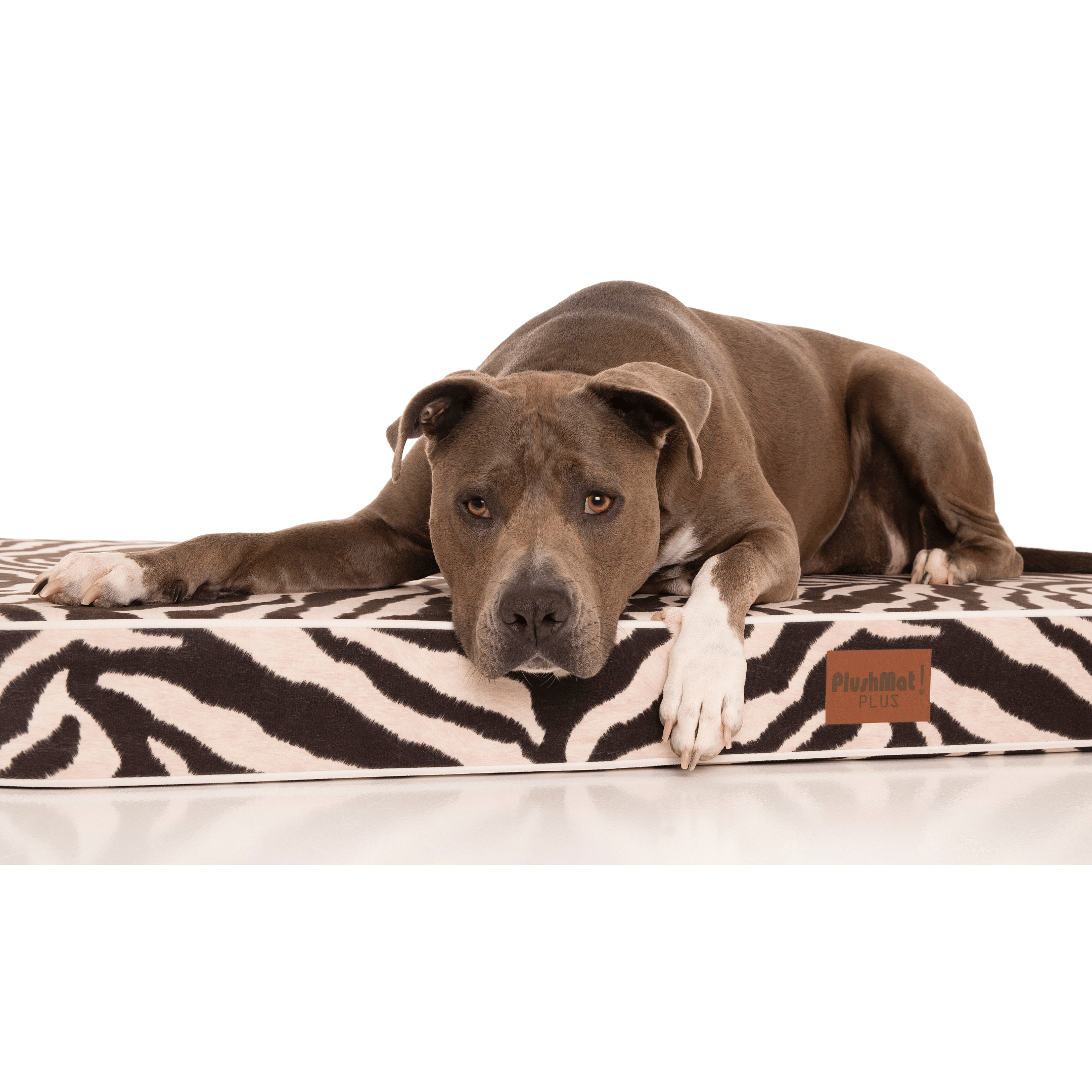 PlushMat! Plus - Thermal & Therapeutic - Orthopaedic Dog Bed-Dog Bed-Rover Pet Products