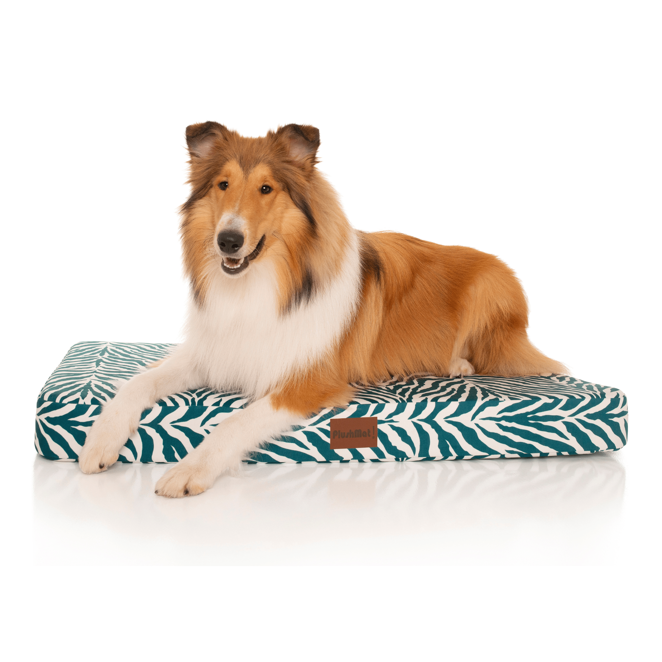 PlushMat! Plus - Thermal & Therapeutic - Orthopaedic Dog Bed-Dog Bed-Rover Pet Products