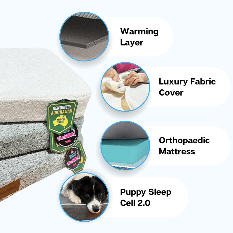 PlushMat! Plus - Thermal & Therapeutic - Orthopaedic Dog Bed-Dog Bed-Rover Pet Products