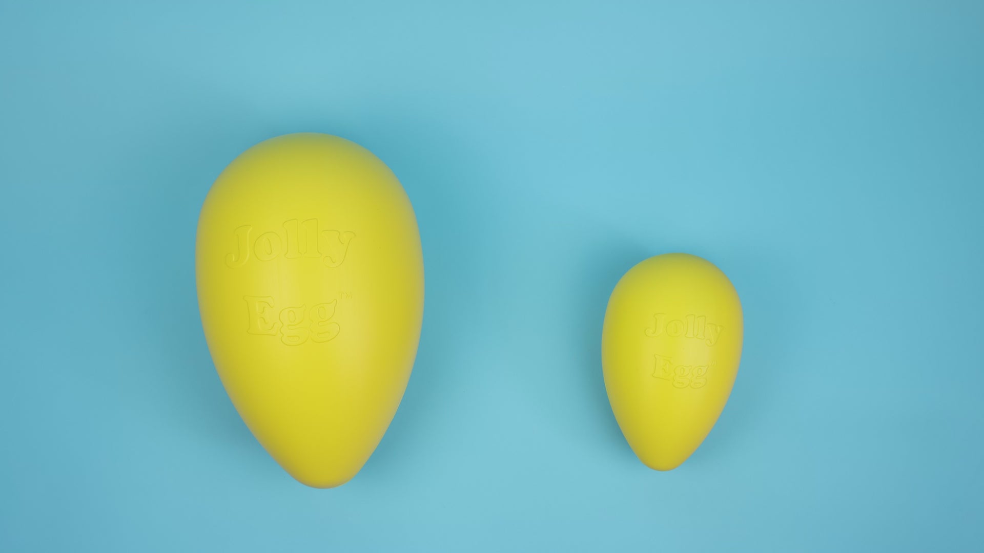 Jolly Egg