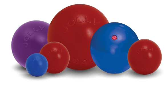 Push-n-Play-Rover Pet Products