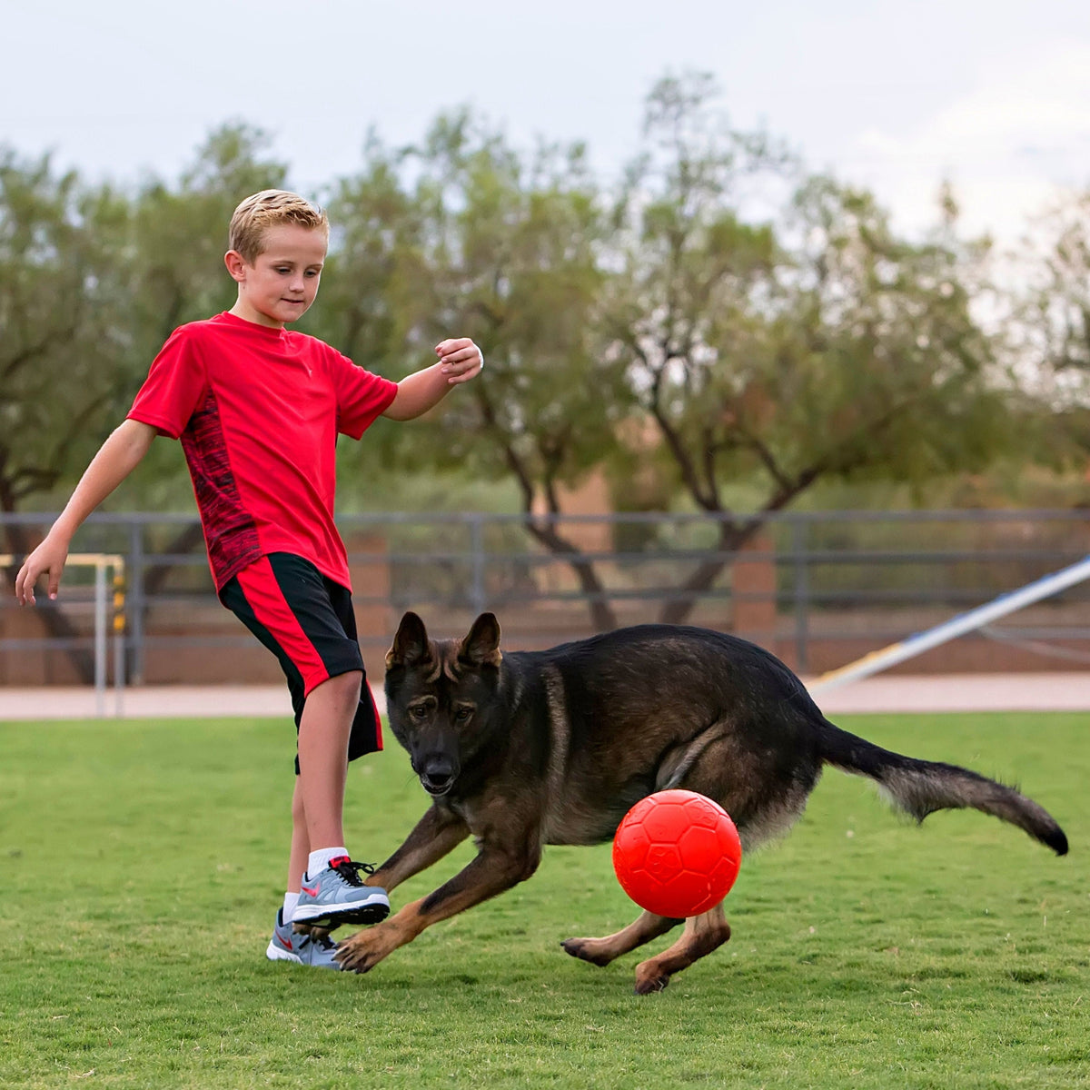 Jolly Soccer Ball-Rover Pet Products