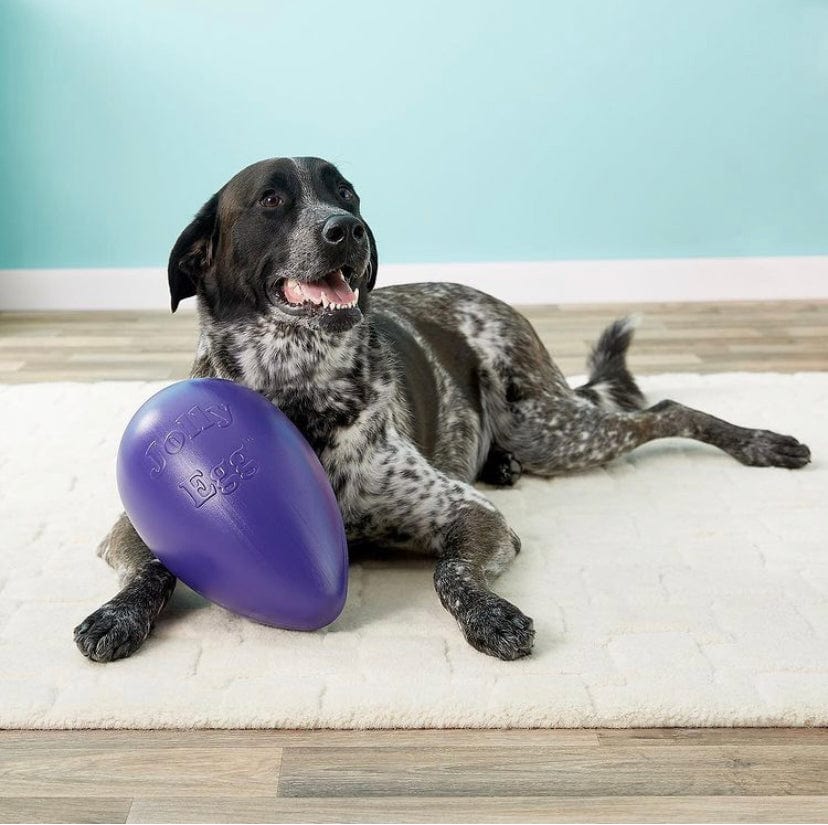 Jolly Egg-Rover Pet Products