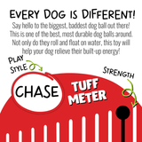 Push-n-Play-Rover Pet Products