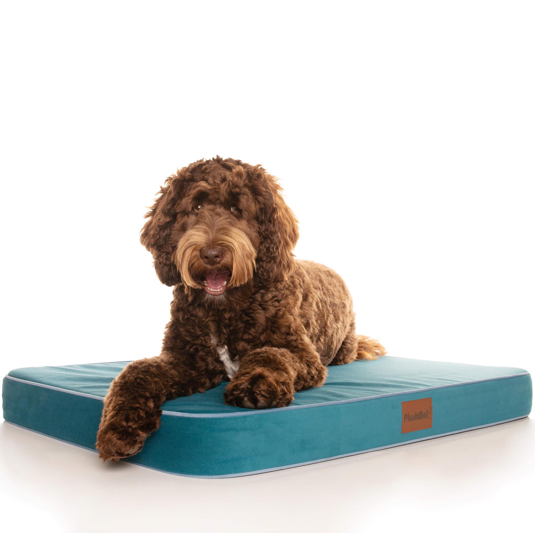 PlushMat! Cover-Dog Bed Addon-Rover Pet Products