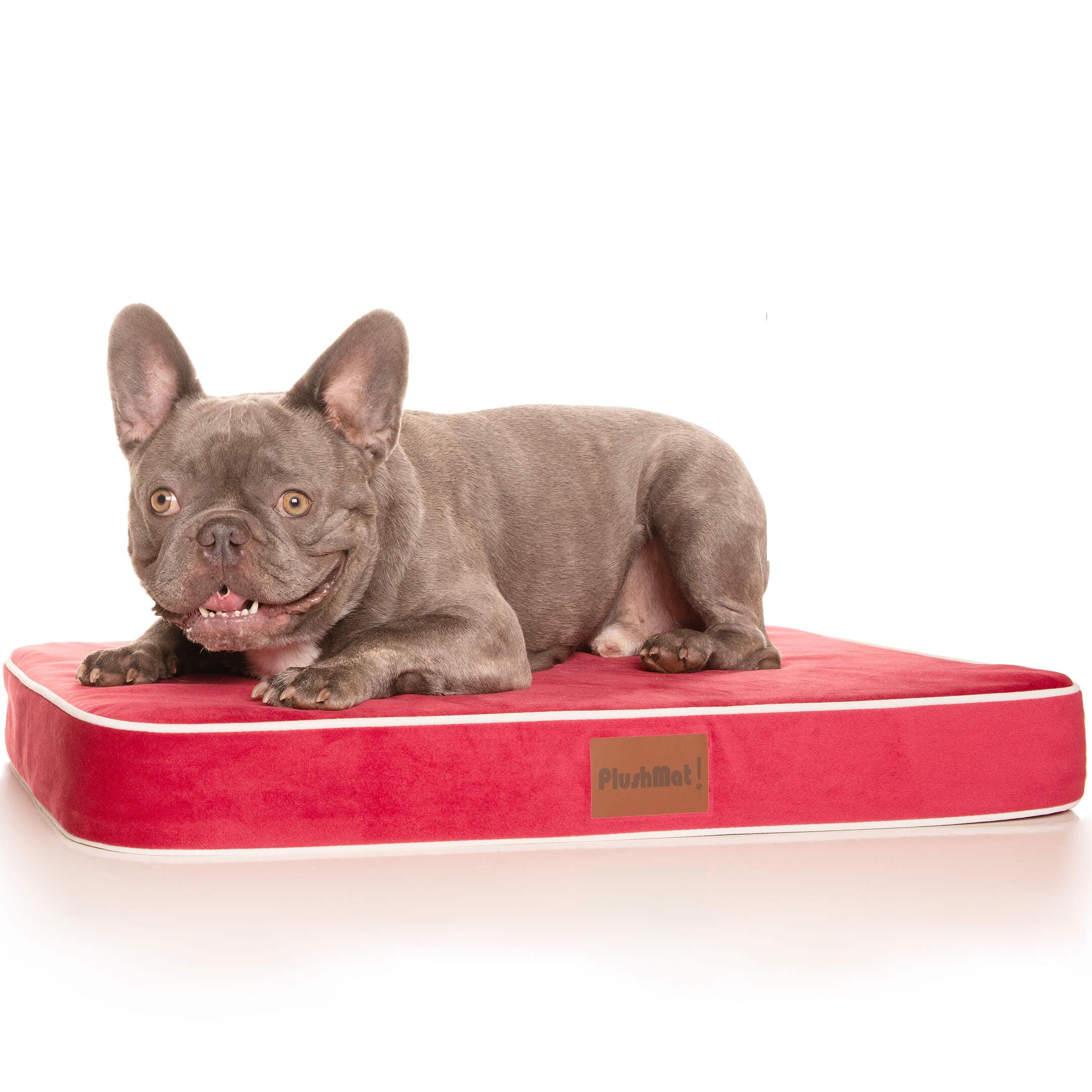 PlushMat! Cover-Dog Bed Addon-Rover Pet Products
