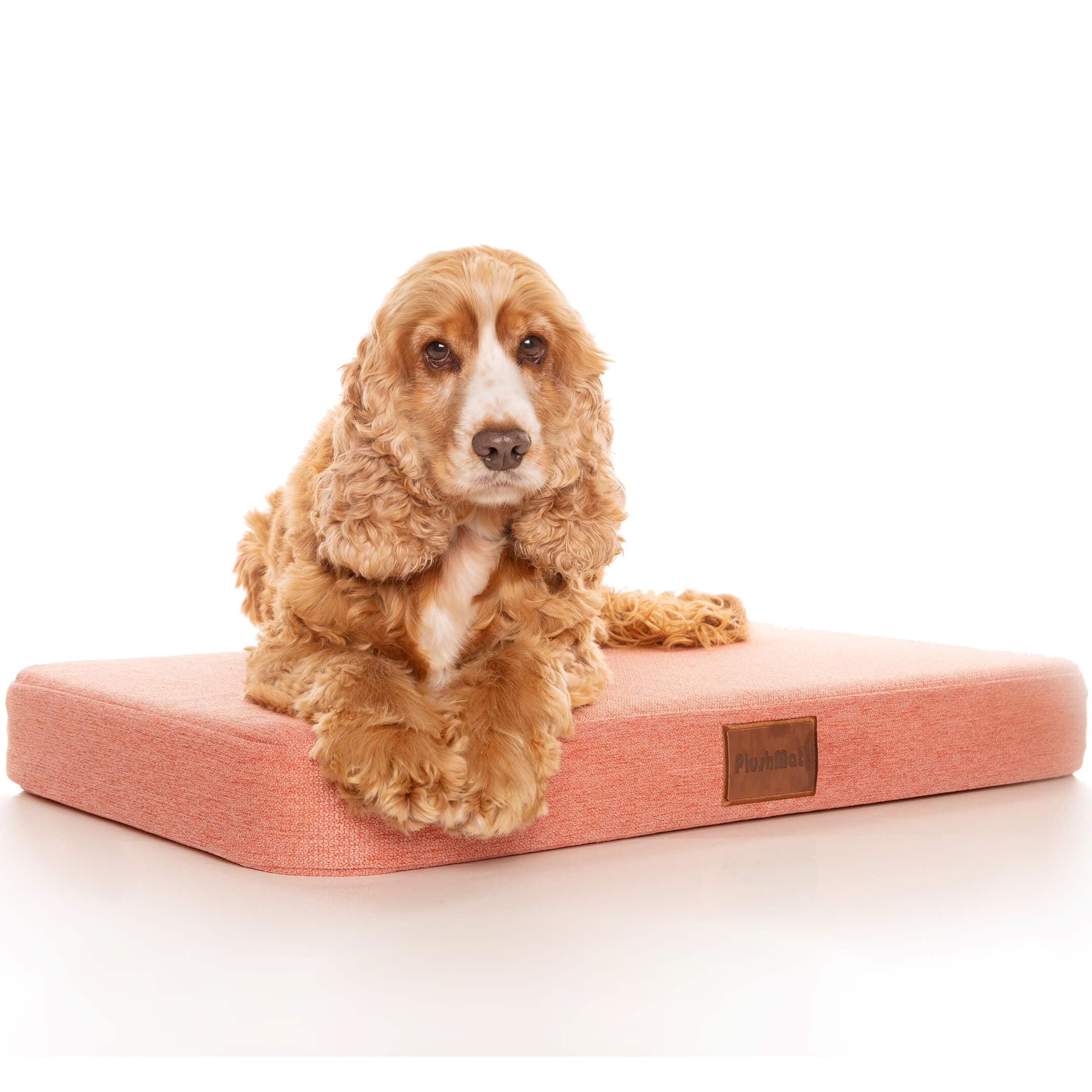 PlushMat! Orthopaedic Dog Bed-Dog Bed-Rover Pet Products