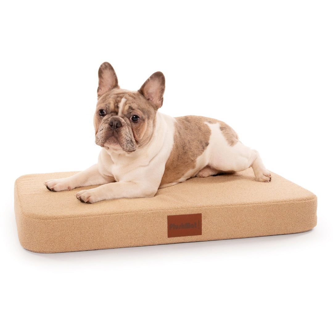 PlushMat! Orthopaedic Dog Bed