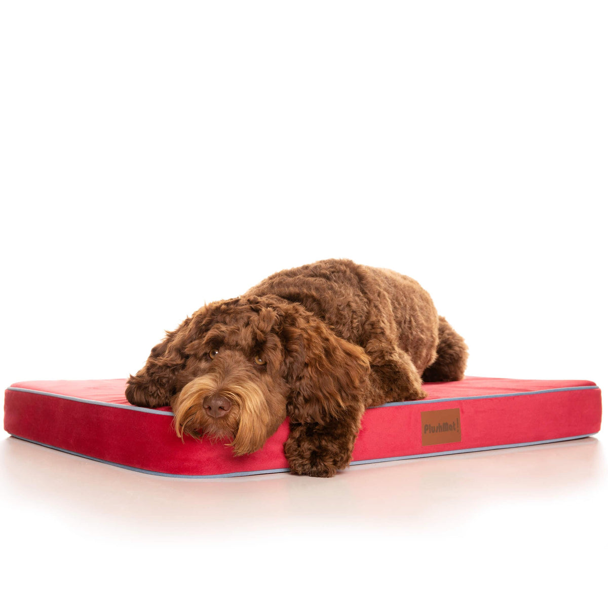 PlushMat! Plus - Thermal & Therapeutic - Orthopaedic Dog Bed-Dog Bed-Rover Pet Products