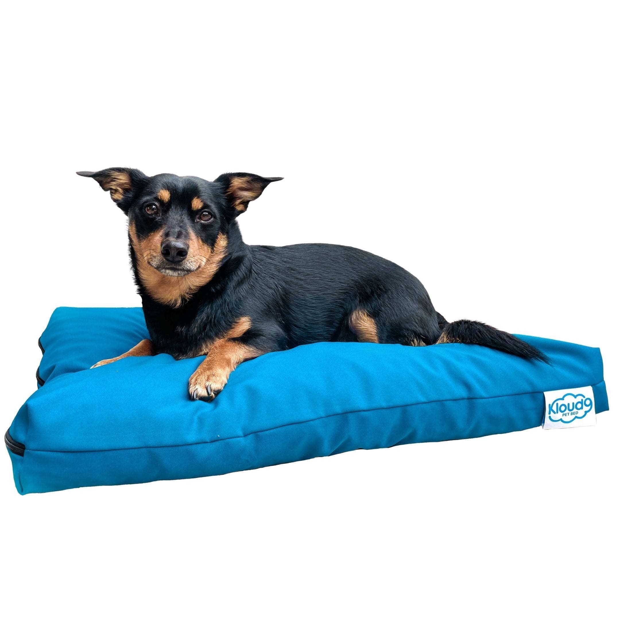 Kloud9 Calming Dog Bed-Dog Bed-Rover Pet Products
