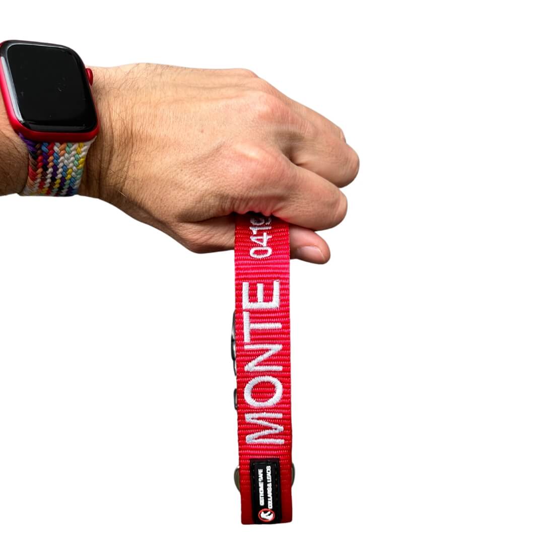 Originals-Dog Collar-Rover Pet Products