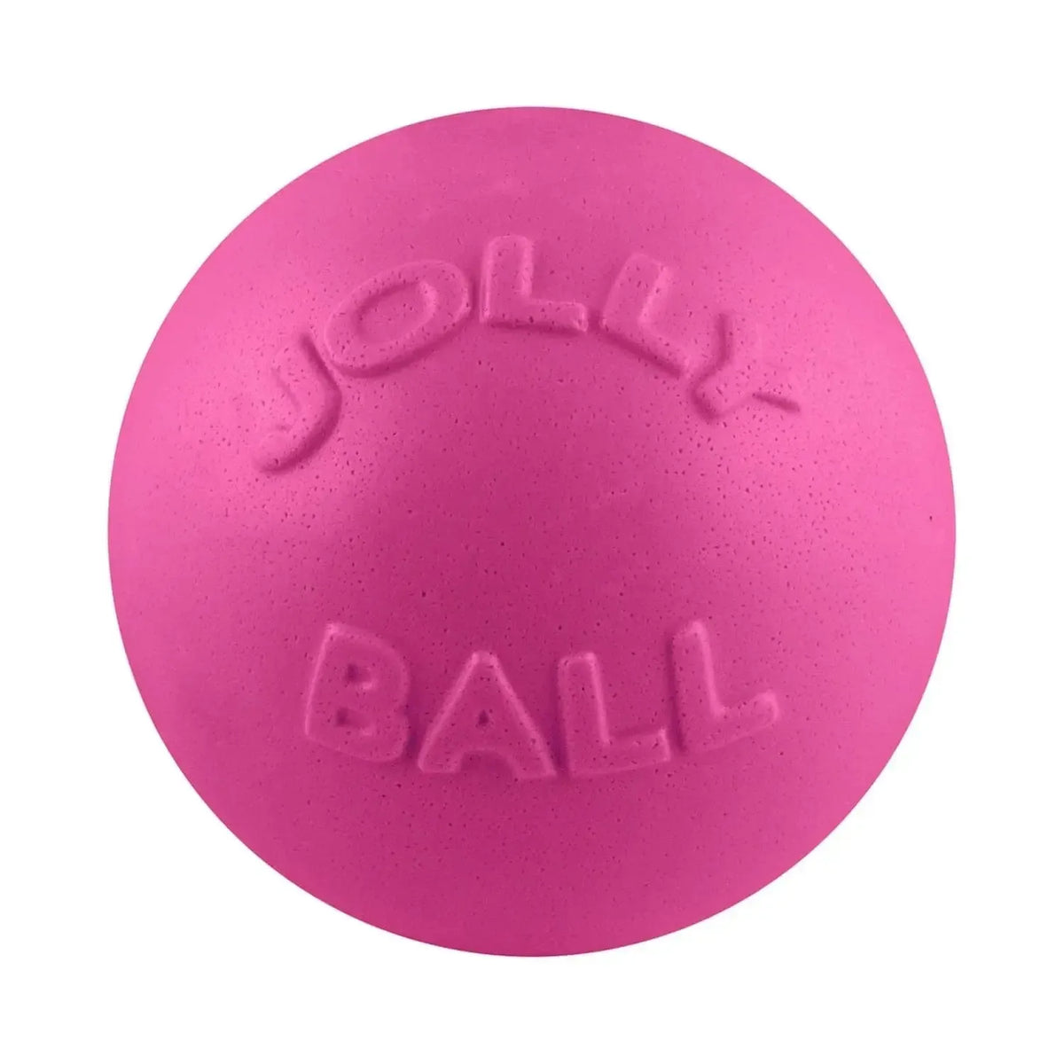 Bounce-N-Play-Rover Pet Products