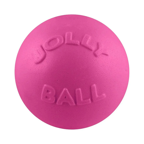 Bounce-N-Play-Rover Pet Products