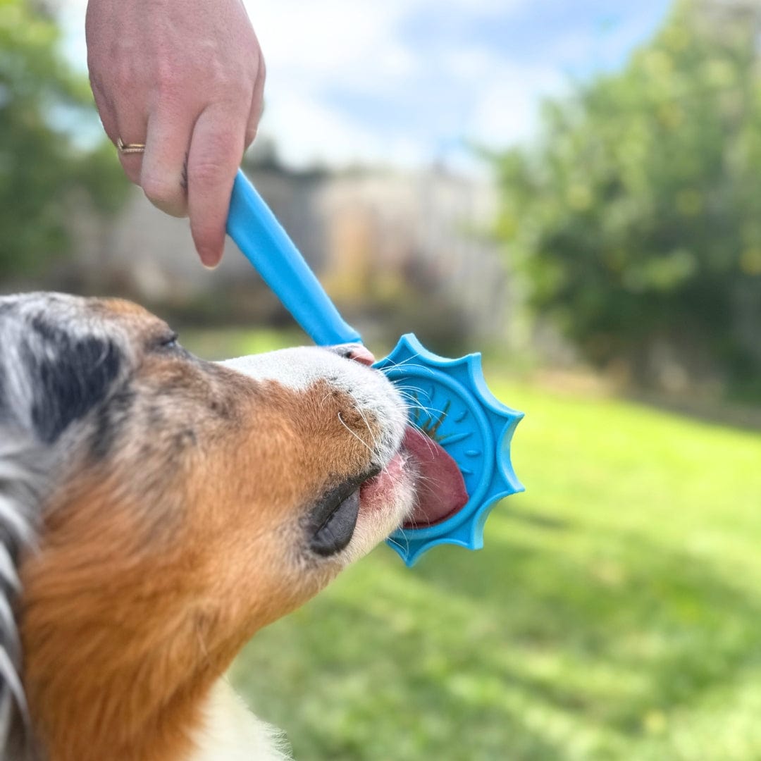 Lick Sticks-Dog Toy-Rover Pet Products