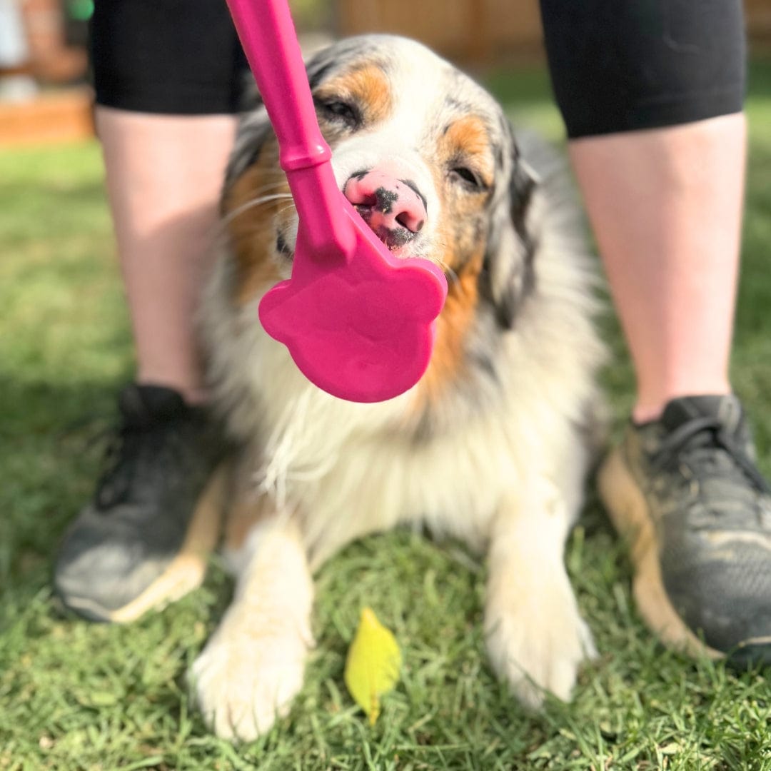 Lick Sticks-Dog Toy-Rover Pet Products