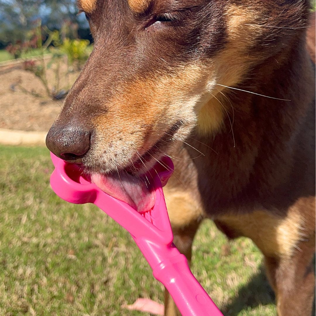 Lick Sticks-Dog Toy-Rover Pet Products
