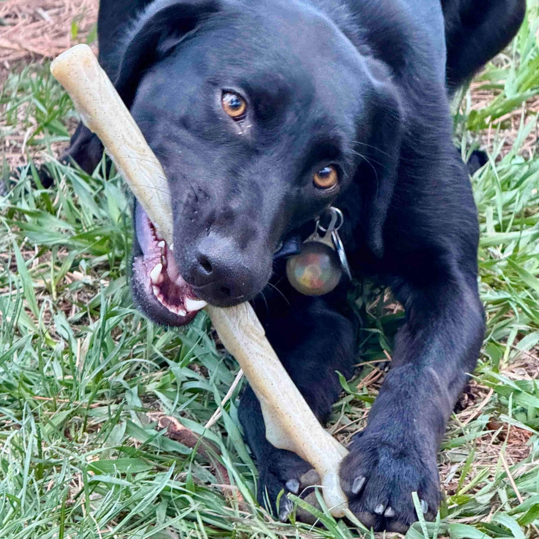 Nylon Chew Stick