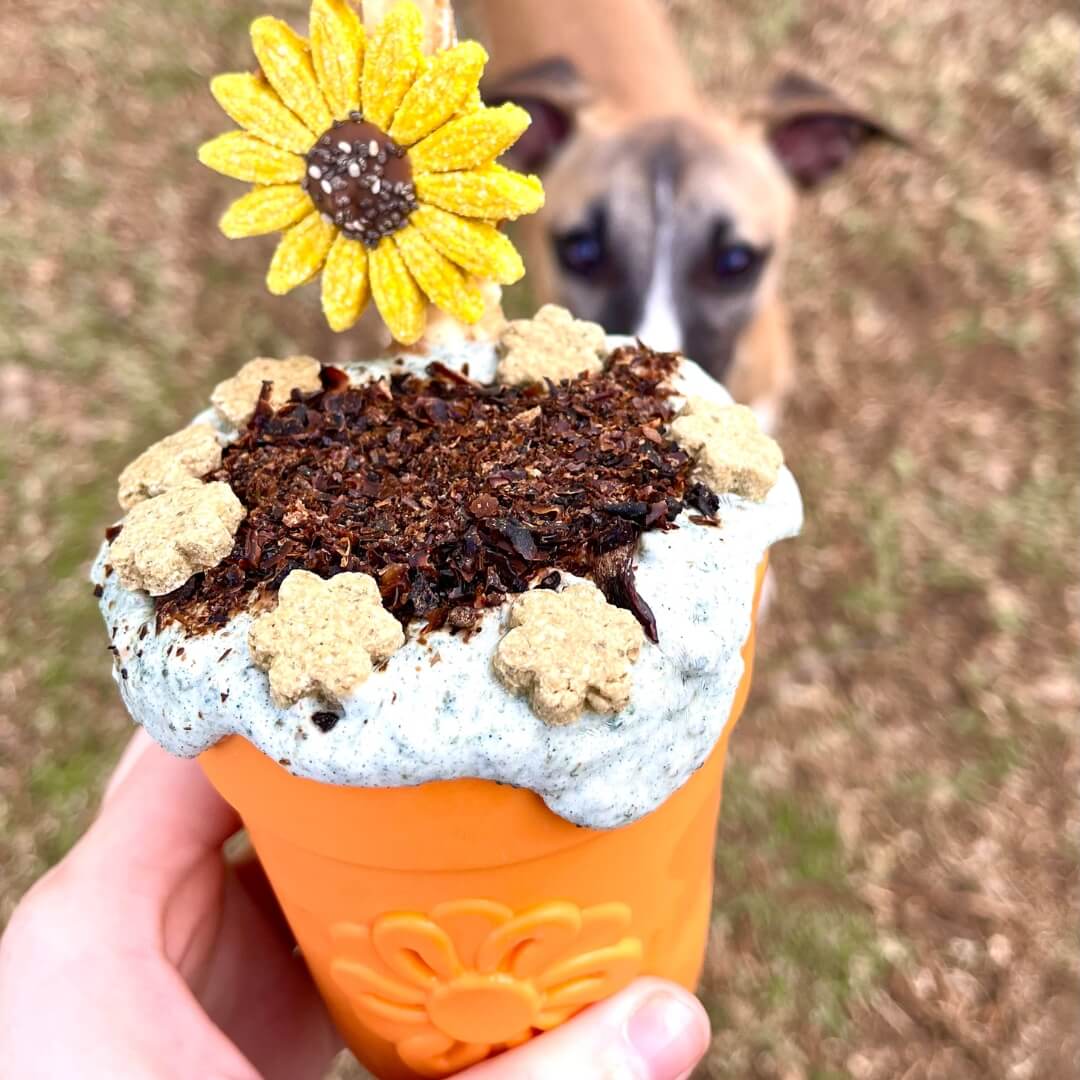 Flower Pot-Dog Toy-Rover Pet Products