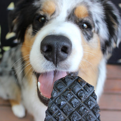 Kangaroo Liver Dog Treats – Aussie Iron & Protein Boost