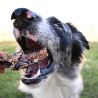 Oody Roody - Kangaroo Trachea-Dog Treat-Rover Pet Products