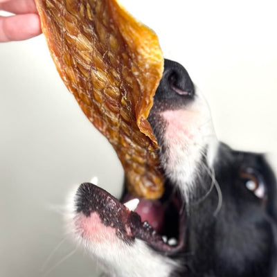 Fish Fillet Dog Treats – Aussie Omega‑3 & Lean Protein