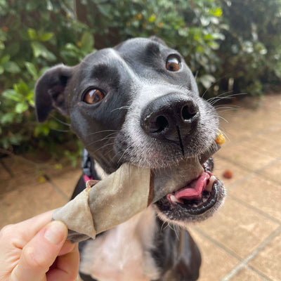 Sustainably Sourced Shark Twists – Aussie Omega‑3 Chews