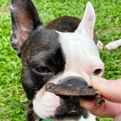 Lamb Lung Dog Treats – Aussie Lean, High‑Protein & Low‑Fat