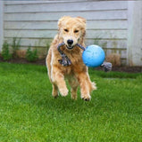 Romp-n-Roll-Rover Pet Products