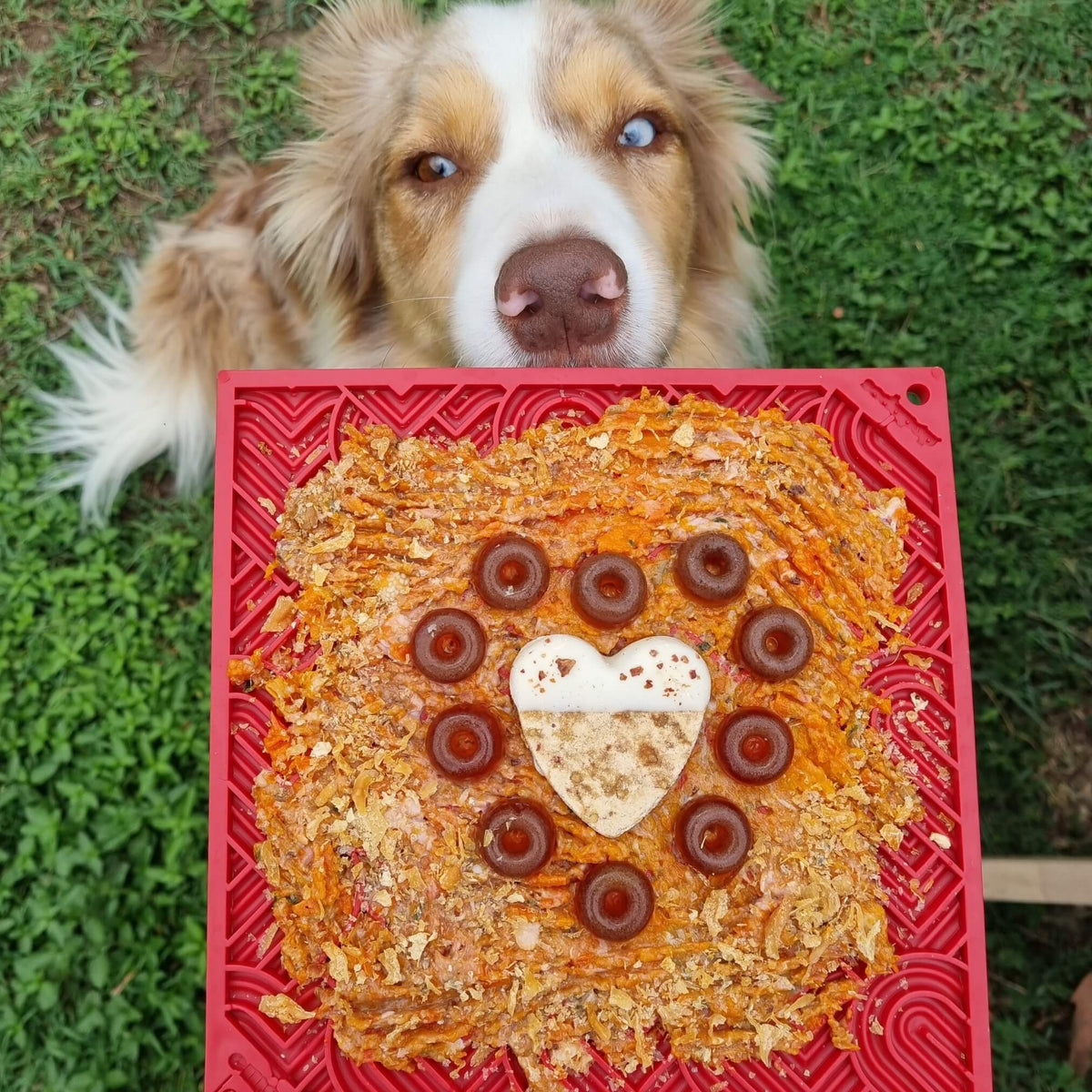 Heart Design "Love" eMat Enrichment Lick Mat-Slow Feeder-Rover Pet Products