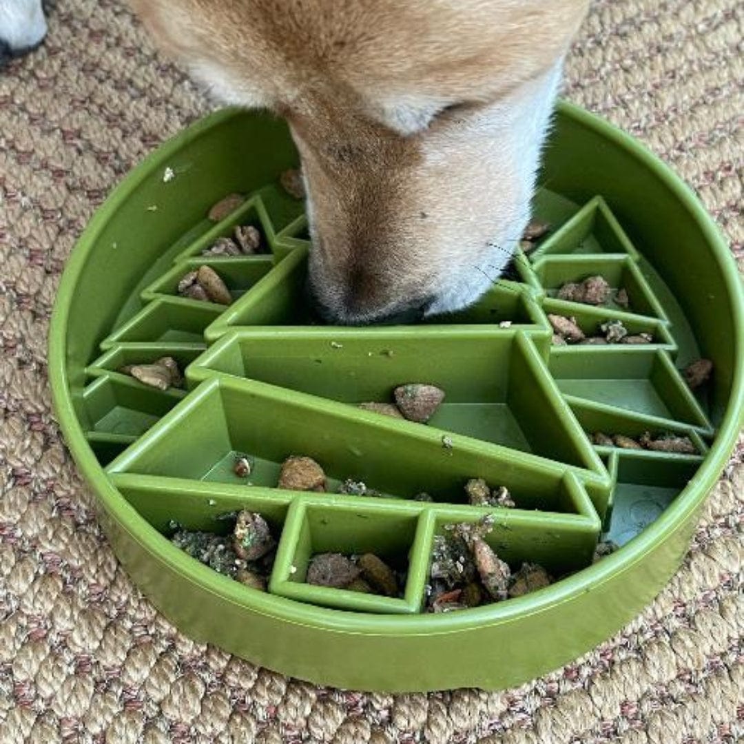 Pine Tree Design eBowl Slow Feeder For Dogs-Slow Feeder-Rover Pet Products