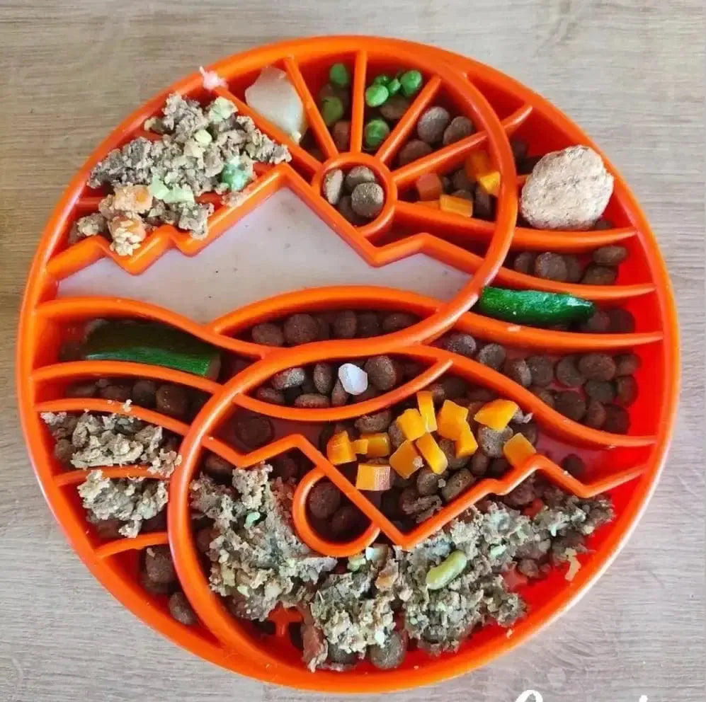 Sun and Moon Design eTray Enrichment Slow Feeder Tray for Dogs-Slow Feeder-Rover Pet Products