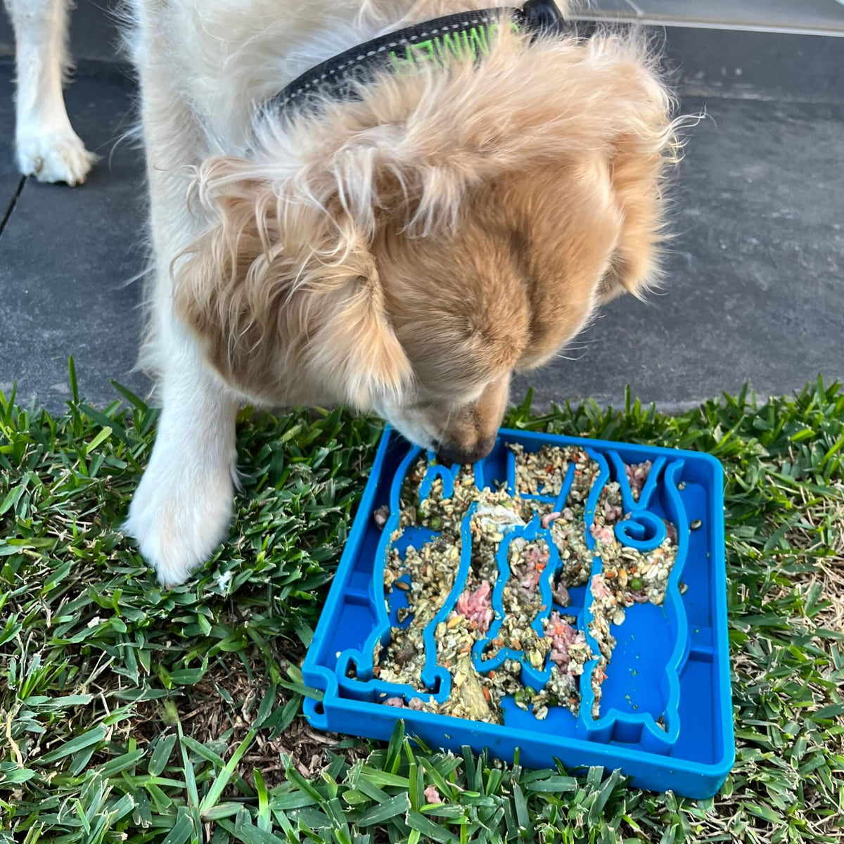 Waiting Slowfeeder eTray-Slow Feeder-Rover Pet Products