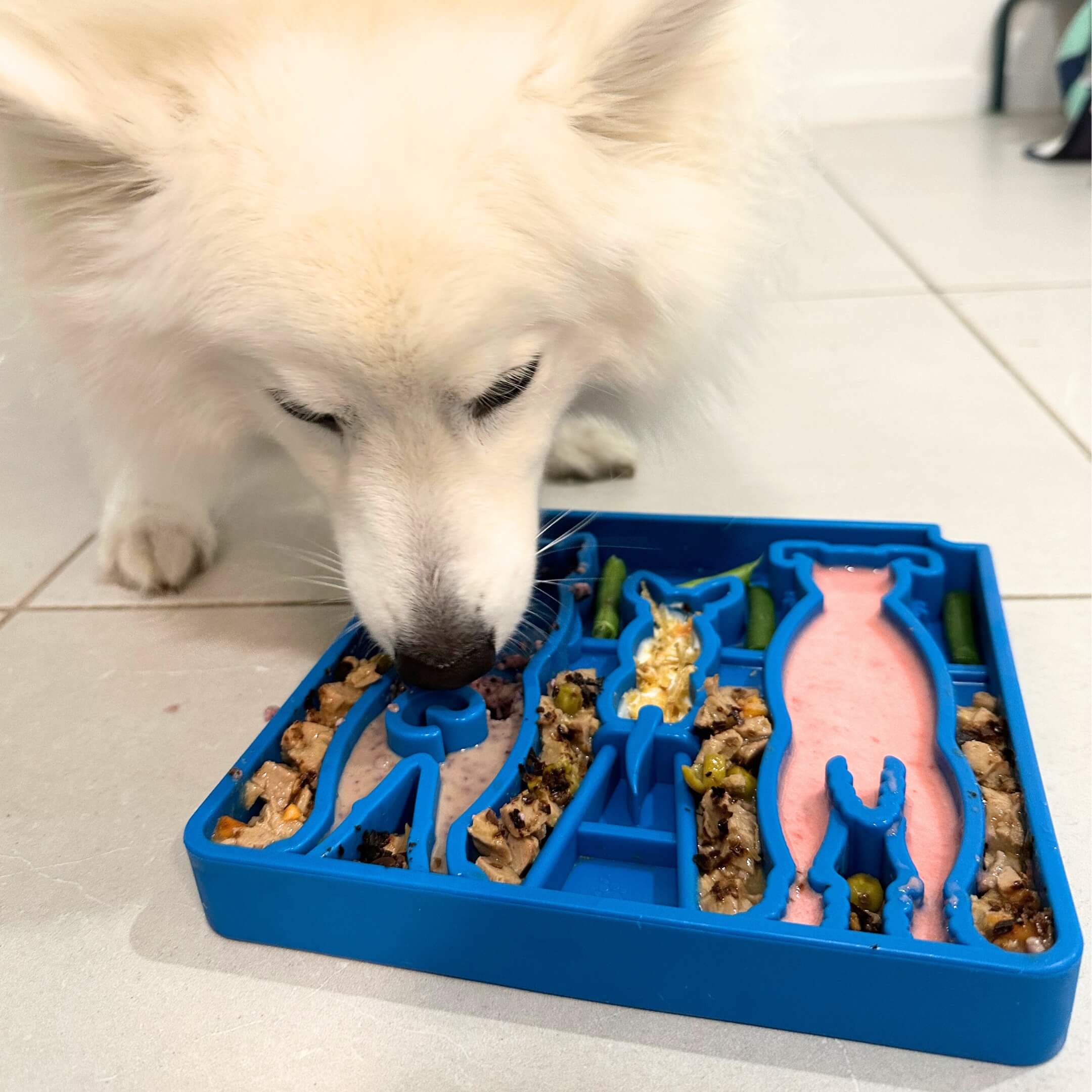 Waiting Slowfeeder eTray-Slow Feeder-Rover Pet Products