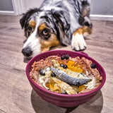 Garden of Eatin' Tipsy Bowl Lick Mat-Slow Feeder-Rover Pet Products