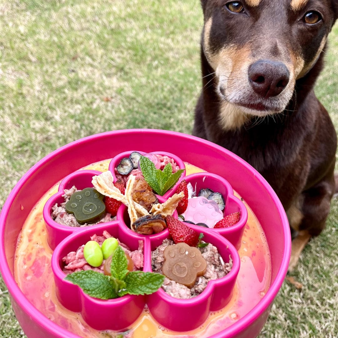Flower Design eBowl-Slow Feeder-Rover Pet Products