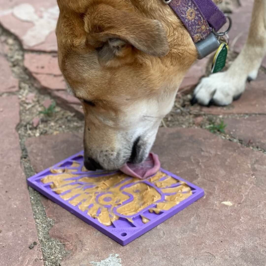 Groovy Love eMat Enrichment Lick Mat-Slow Feeder-Rover Pet Products