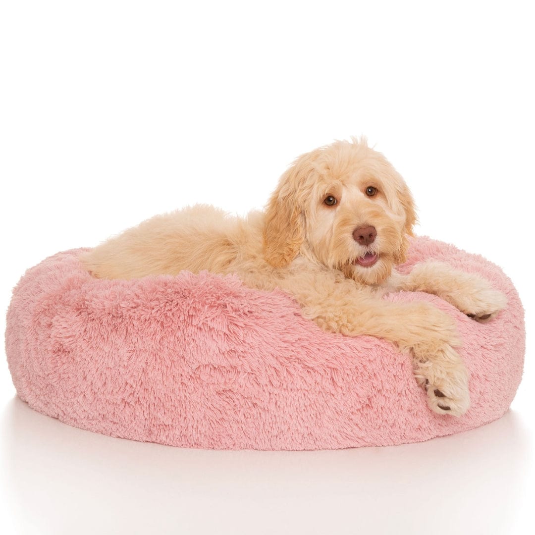 Kloud9 Teddy Extra Cover-Rover Pet Products