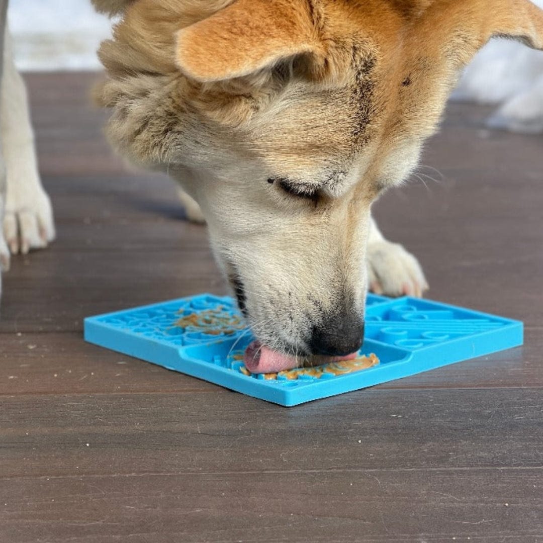 Sky Design eMat Lick Mat-Slow Feeder-Rover Pet Products