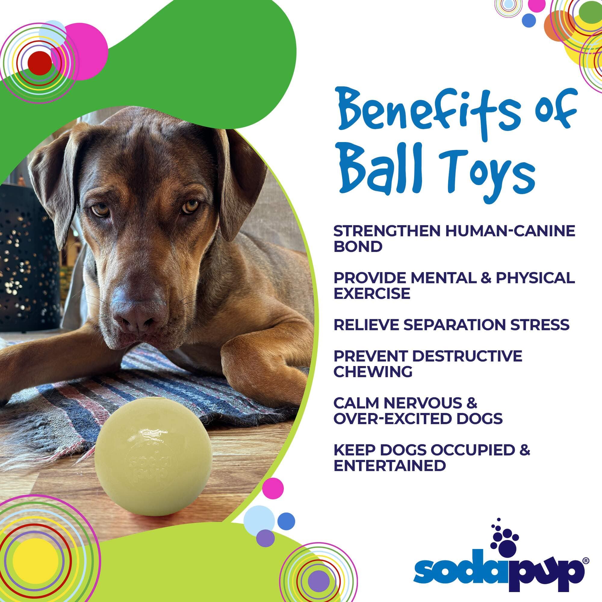 Squeak Ball (Chew & Retrieval Toy)-Dog Toy-Rover Pet Products