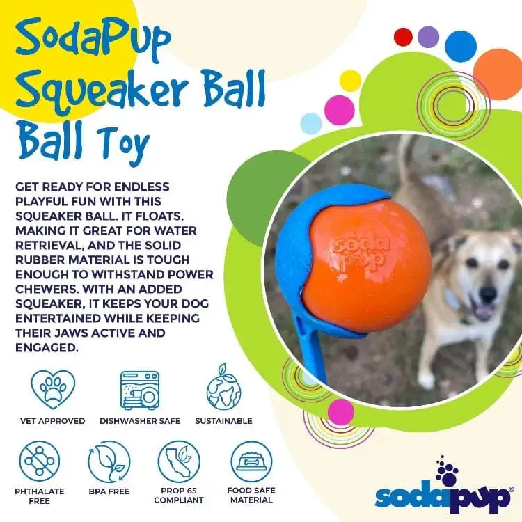 Squeak Ball (Chew & Retrieval Toy)-Dog Toy-Rover Pet Products