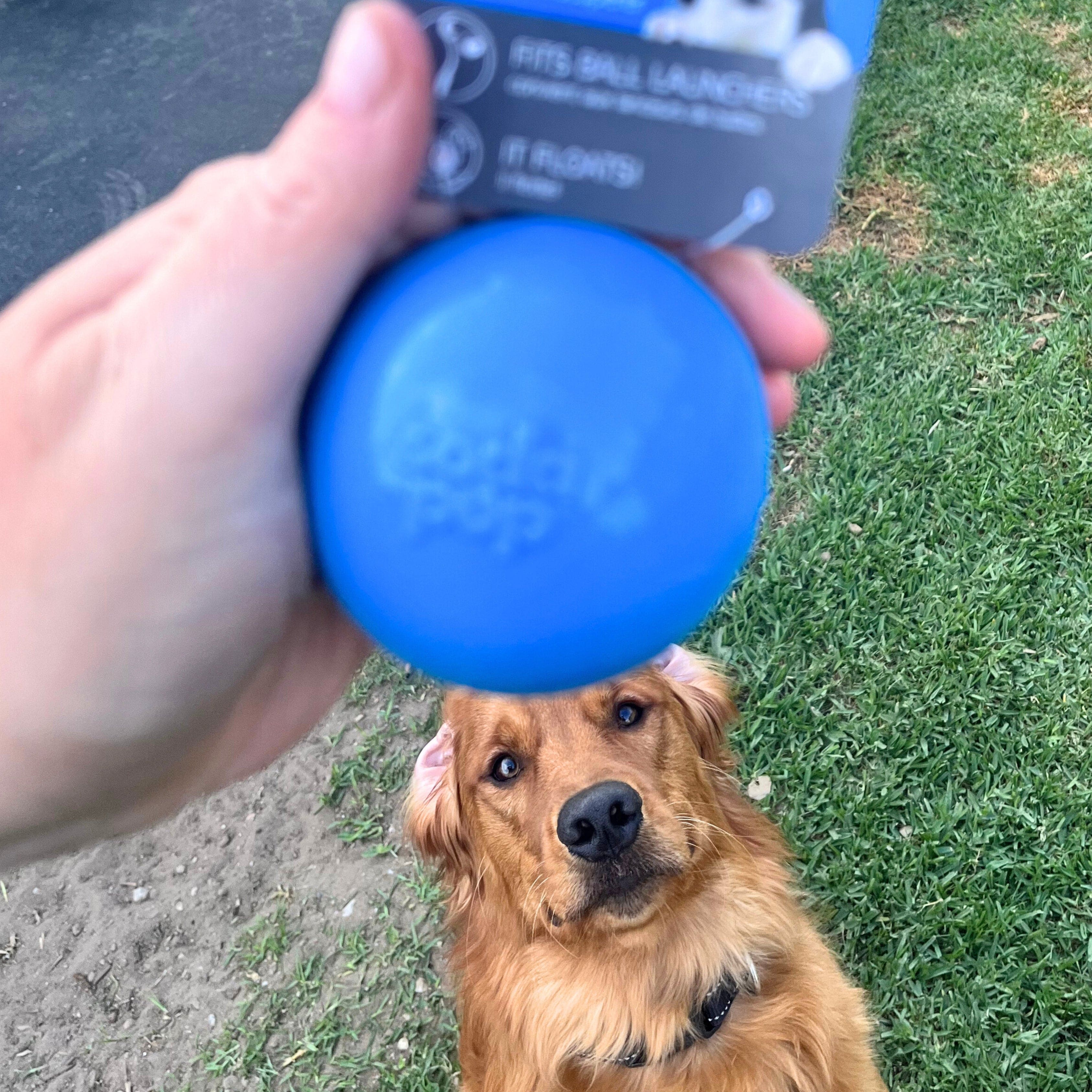 Squeak Ball (Chew & Retrieval Toy)-Dog Toy-Rover Pet Products