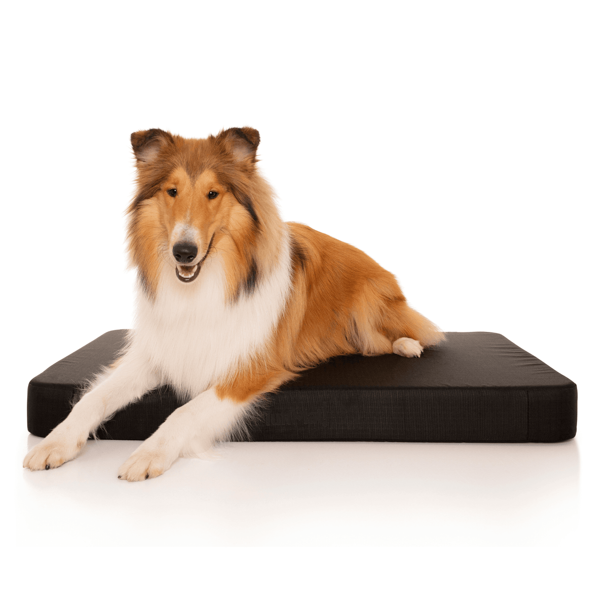 TuffMat! Orthopaedic Dog Bed-Dog Bed-Rover Pet Products